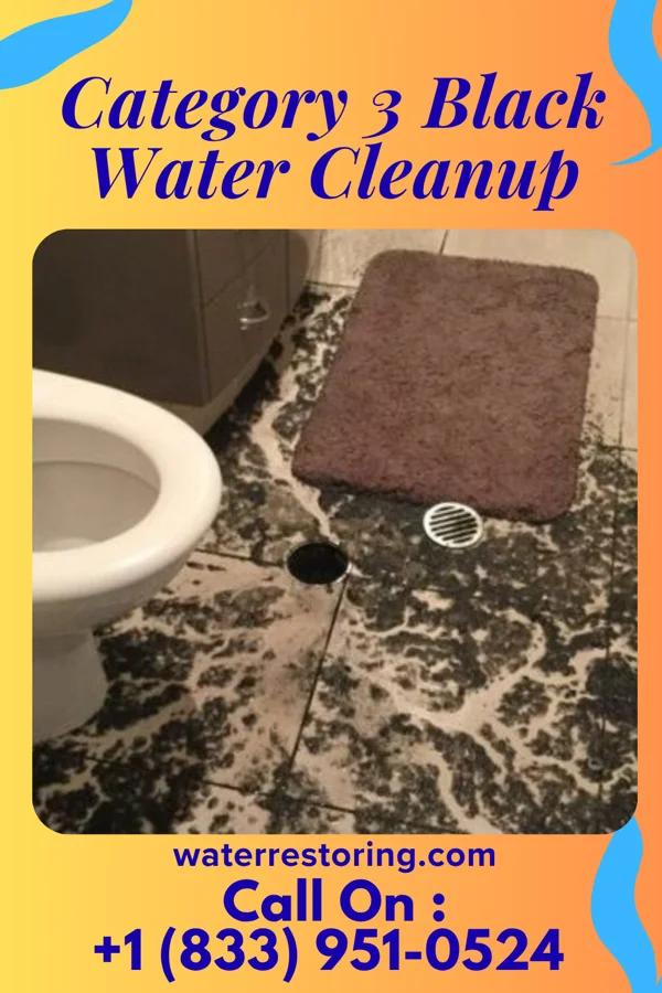 Category 3 Black Water Cleanup in Potlicker Flats, PA