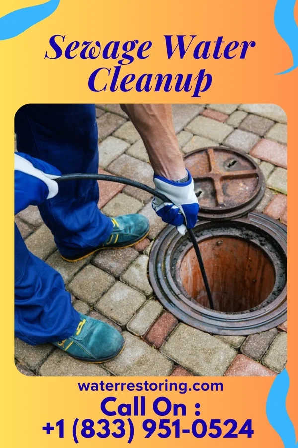Sewage Water Cleanup in Potlicker Flats, PA