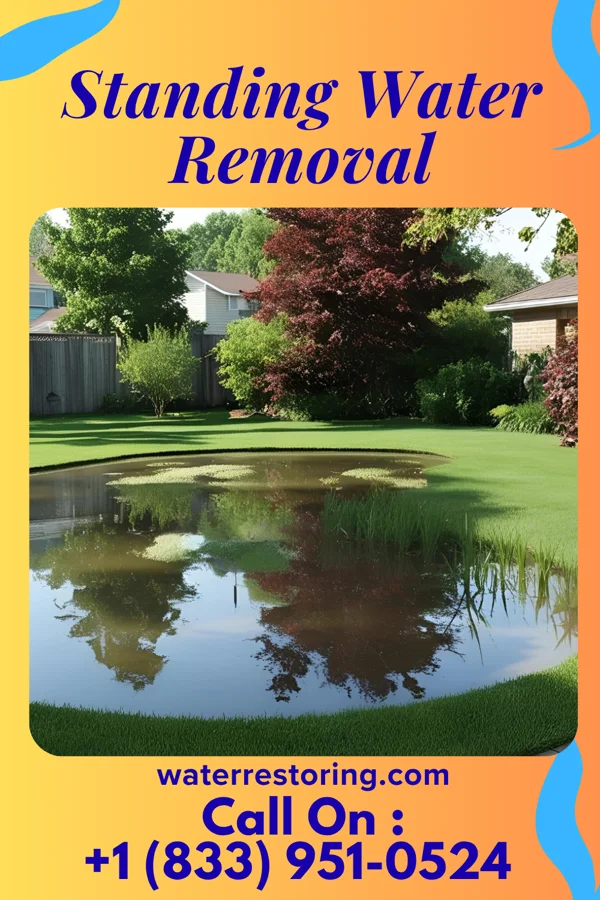 Standing Water Removal in Potlicker Flats, PA